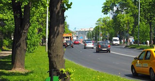 Посадка деревьев и кустарников в Павловском Посаде — стоимость от 1219 руб.